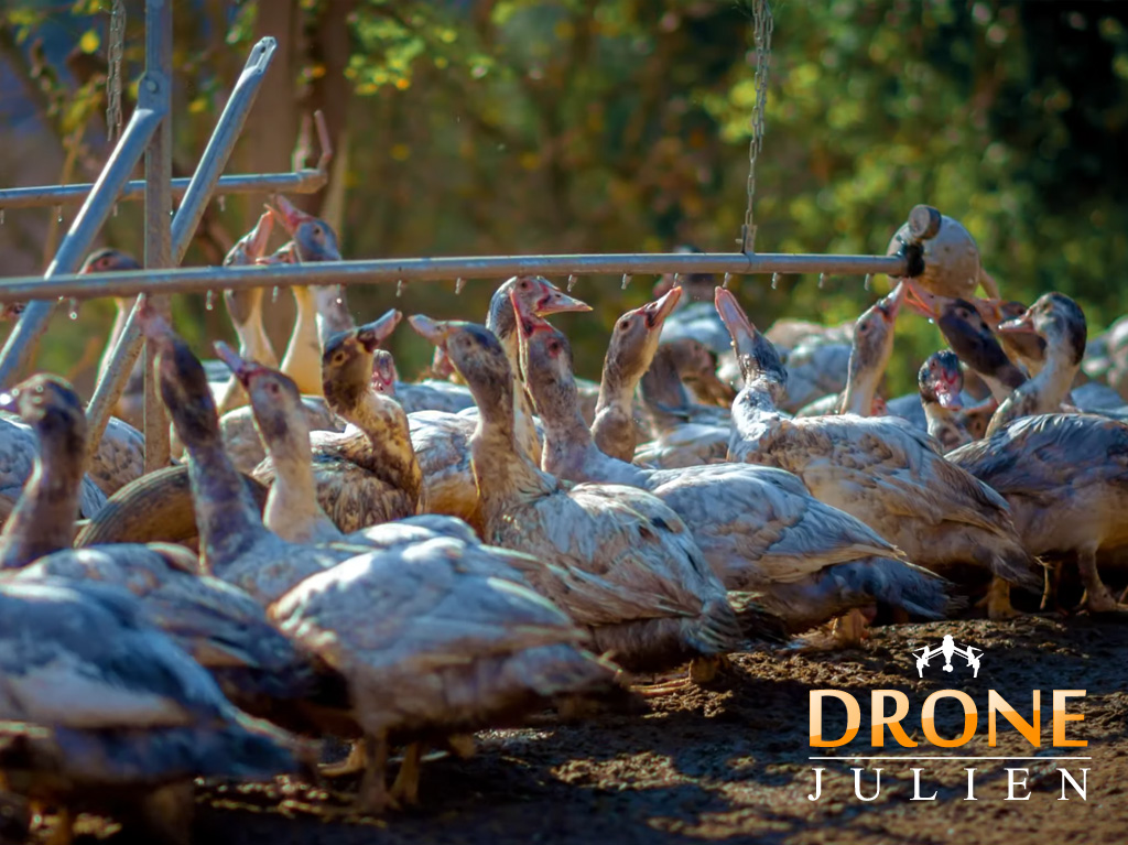 Réalisation vidéo agriculture