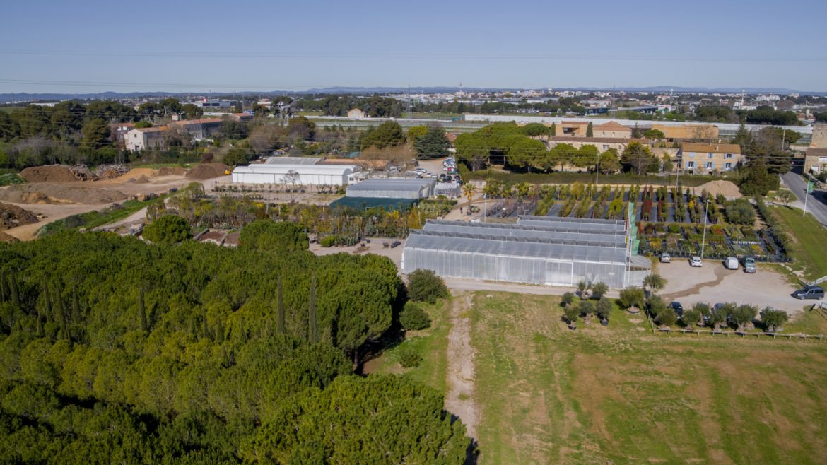 Photo Drone pépinière Montpellier