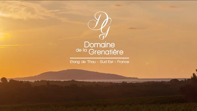 video drone immobilier herault valorisation bien prise de vue aerienne